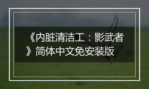 《内脏清洁工：影武者》简体中文免安装版