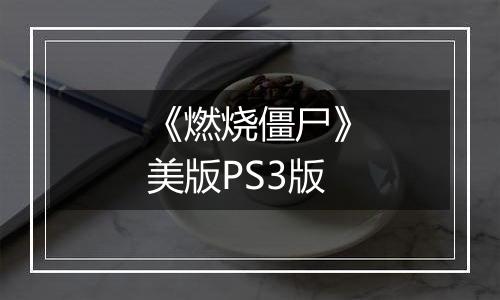 《燃烧僵尸》美版PS3版