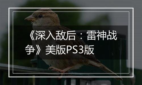 《深入敌后：雷神战争》美版PS3版