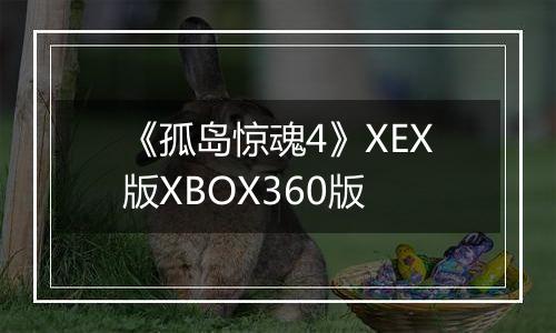 《孤岛惊魂4》XEX版XBOX360版