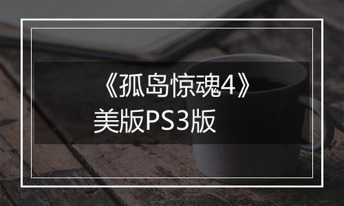 《孤岛惊魂4》美版PS3版