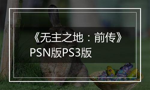 《无主之地：前传》PSN版PS3版