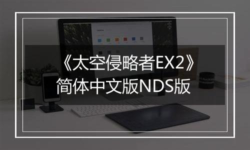 《太空侵略者EX2》简体中文版NDS版