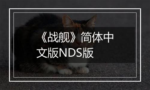 《战舰》简体中文版NDS版