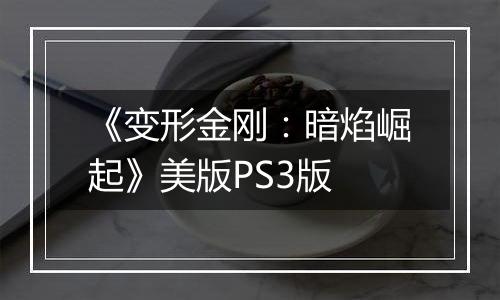 《变形金刚：暗焰崛起》美版PS3版