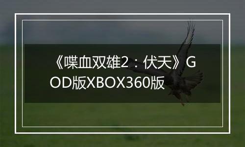 《喋血双雄2：伏天》GOD版XBOX360版