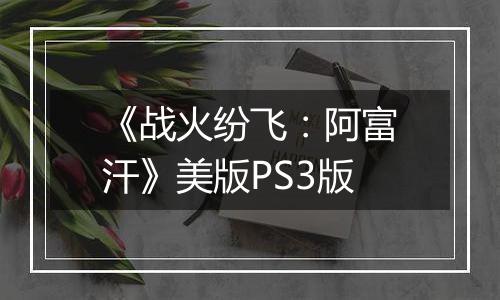 《战火纷飞：阿富汗》美版PS3版