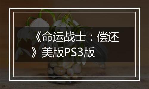《命运战士：偿还》美版PS3版