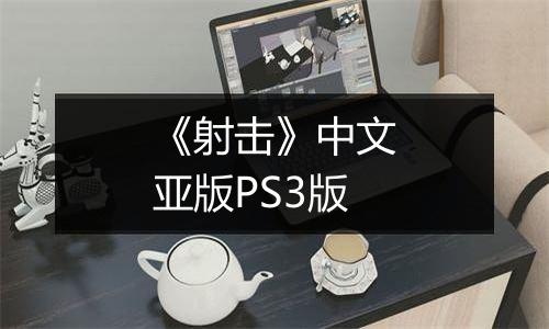 《射击》中文亚版PS3版