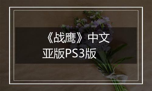 《战鹰》中文亚版PS3版