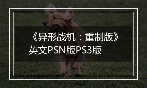 《异形战机：重制版》英文PSN版PS3版