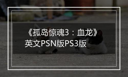 《孤岛惊魂3：血龙》 英文PSN版PS3版