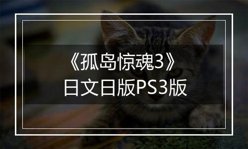 《孤岛惊魂3》 日文日版PS3版