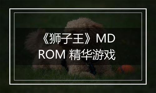 《狮子王》MD ROM 精华游戏