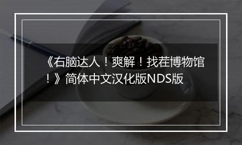 《右脑达人！爽解！找茬博物馆！》简体中文汉化版NDS版