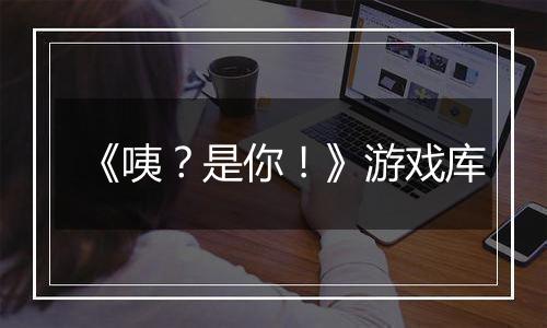 《咦？是你！》游戏库