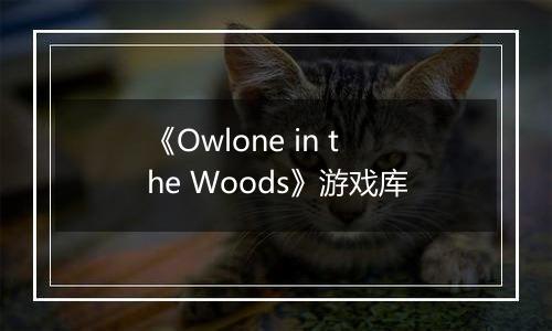 《Owlone in the Woods》游戏库
