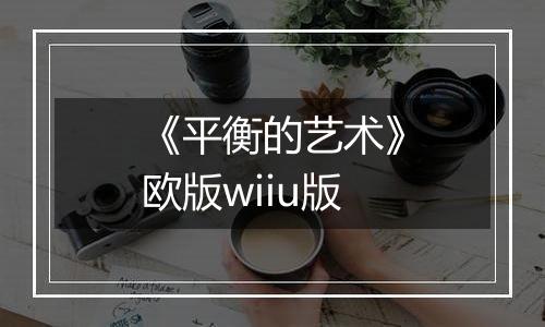 《平衡的艺术》欧版wiiu版