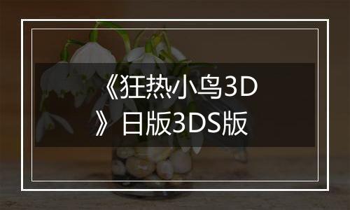 《狂热小鸟3D》日版3DS版