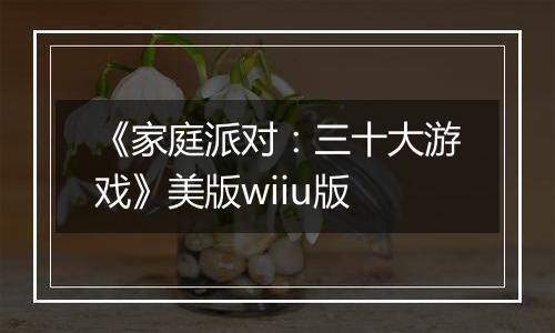 《家庭派对：三十大游戏》美版wiiu版