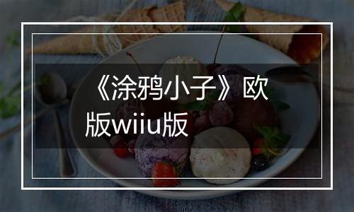 《涂鸦小子》欧版wiiu版