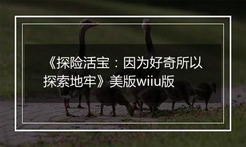 《探险活宝：因为好奇所以探索地牢》美版wiiu版