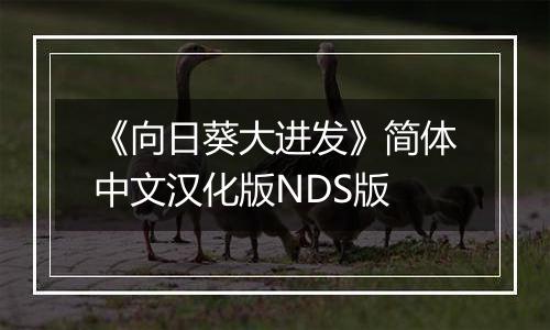 《向日葵大进发》简体中文汉化版NDS版