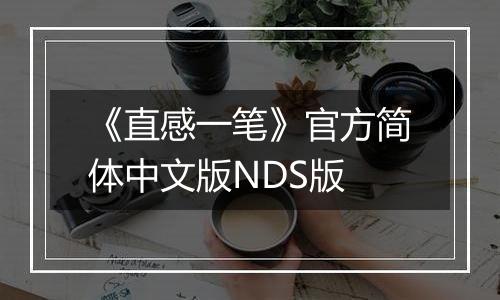 《直感一笔》官方简体中文版NDS版