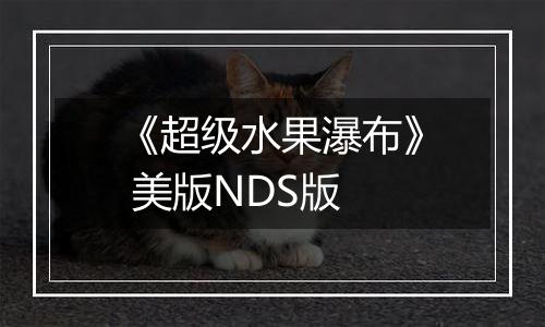 《超级水果瀑布》 美版NDS版