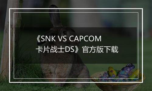 《SNK VS CAPCOM 卡片战士DS》官方版下载