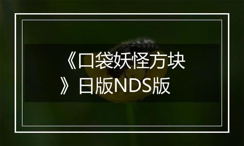 《口袋妖怪方块》日版NDS版