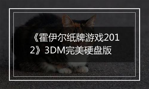 《霍伊尔纸牌游戏2012》3DM完美硬盘版