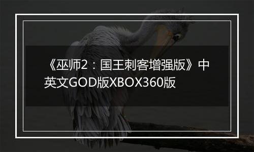 《巫师2：国王刺客增强版》中英文GOD版XBOX360版