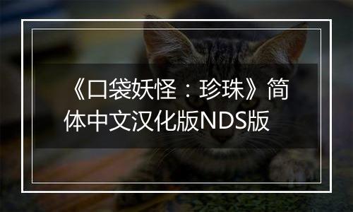 《口袋妖怪：珍珠》简体中文汉化版NDS版