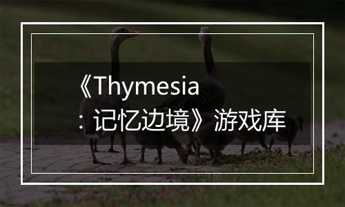 《Thymesia：记忆边境》游戏库