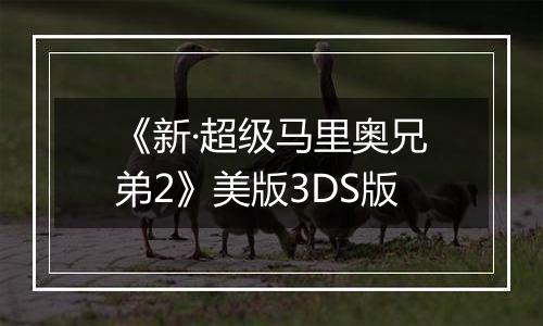 《新·超级马里奥兄弟2》美版3DS版