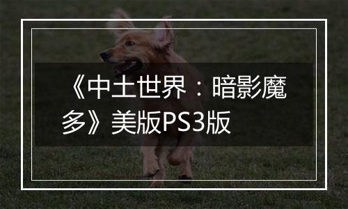 《中土世界：暗影魔多》美版PS3版