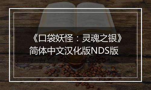 《口袋妖怪：灵魂之银》简体中文汉化版NDS版
