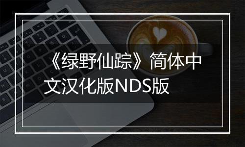 《绿野仙踪》简体中文汉化版NDS版