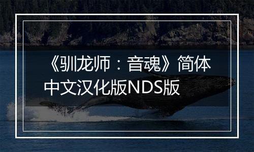 《驯龙师：音魂》简体中文汉化版NDS版