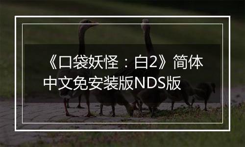 《口袋妖怪：白2》简体中文免安装版NDS版