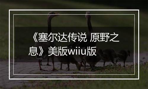 《塞尔达传说 原野之息》美版wiiu版