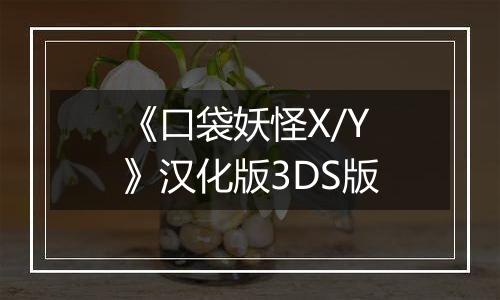 《口袋妖怪X/Y》汉化版3DS版