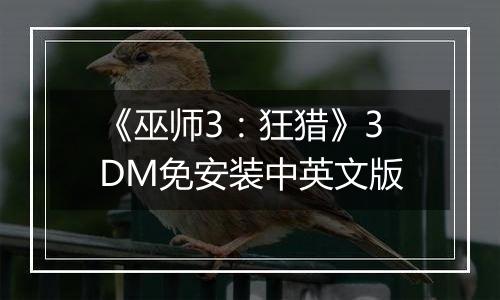 《巫师3：狂猎》3DM免安装中英文版