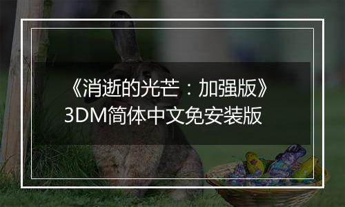 《消逝的光芒：加强版》 3DM简体中文免安装版