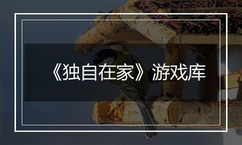 《独自在家》游戏库
