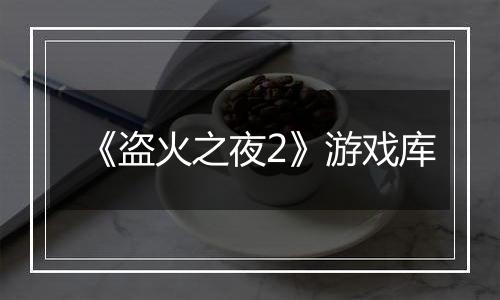 《盗火之夜2》游戏库