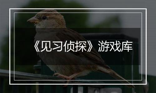 《见习侦探》游戏库