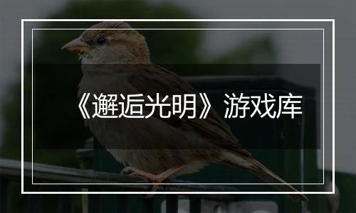 《邂逅光明》游戏库
