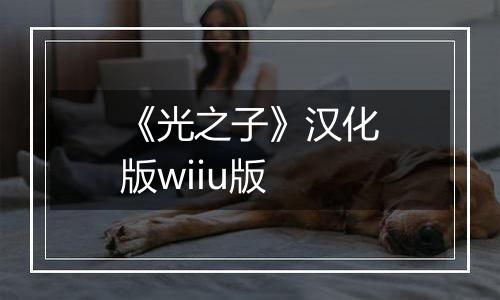 《光之子》汉化版wiiu版